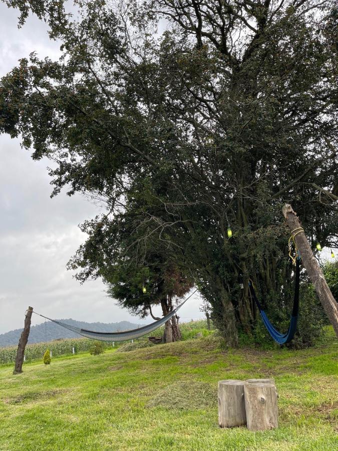 Floresta Casa De Campo Amecameca Exteriér fotografie
